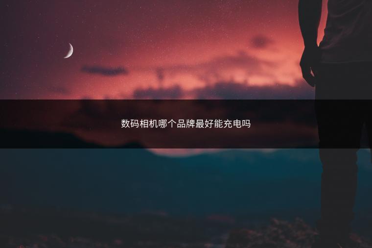 数码相机哪个品牌最好能充电吗
