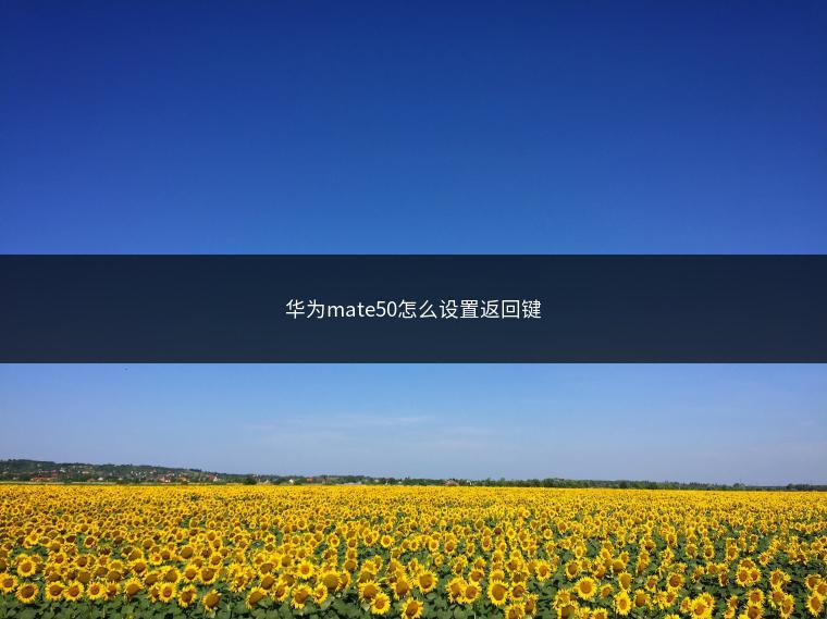 华为mate50怎么设置返回键