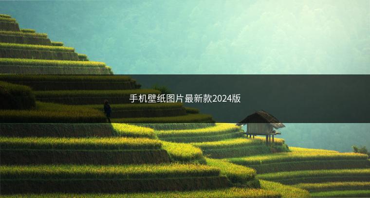 手机壁纸图片最新款2024版