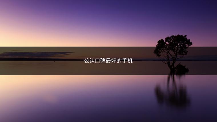 公认口碑最好的手机