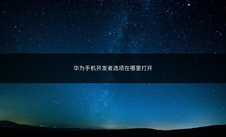 华为手机开发者选项在哪里打开
