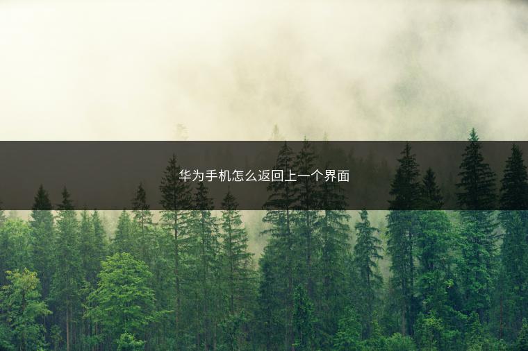 华为手机怎么返回上一个界面