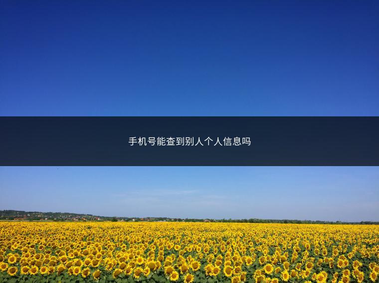手机号能查到别人个人信息吗