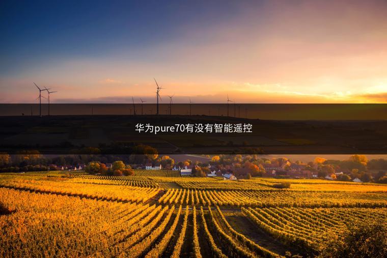 华为pure70有没有智能遥控