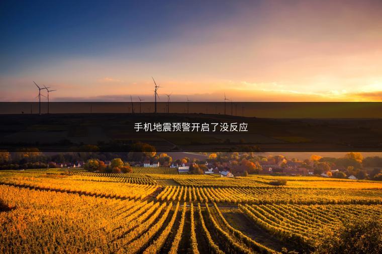 手机地震预警开启了没反应