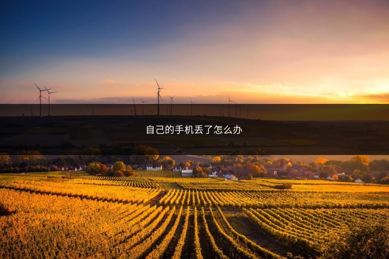 自己的手机丢了怎么办