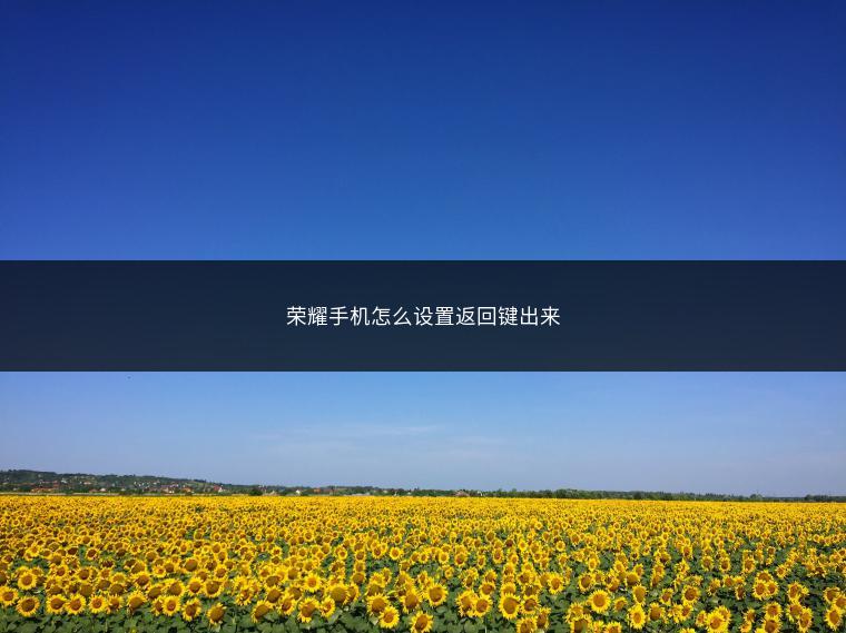 荣耀手机怎么设置返回键出来