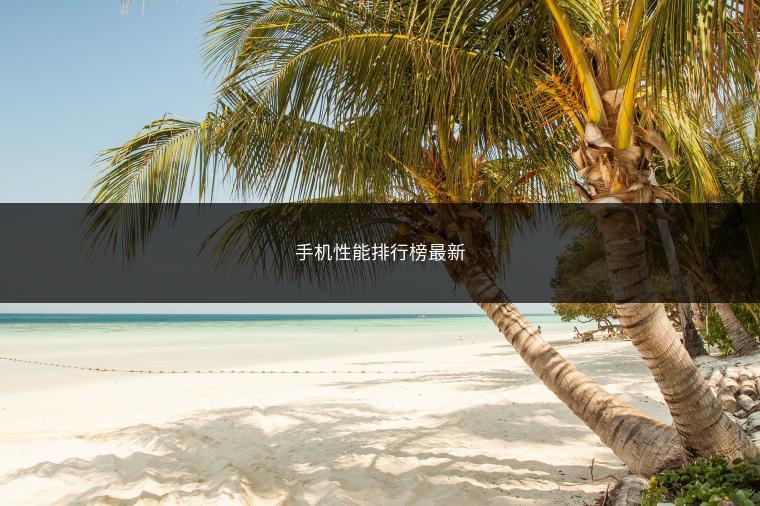 手机性能排行榜最新
