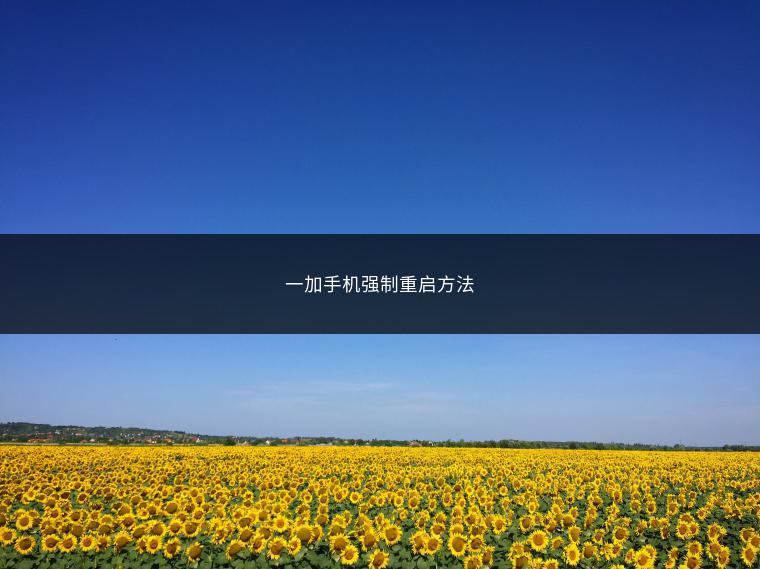 一加手机强制重启方法