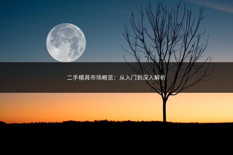 二手模具市场概览：从入门到深入解析