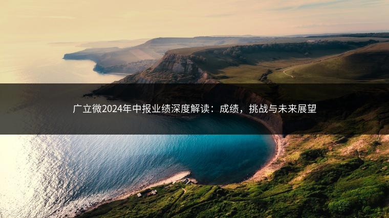 广立微2024年中报业绩深度解读：成绩，挑战与未来展望