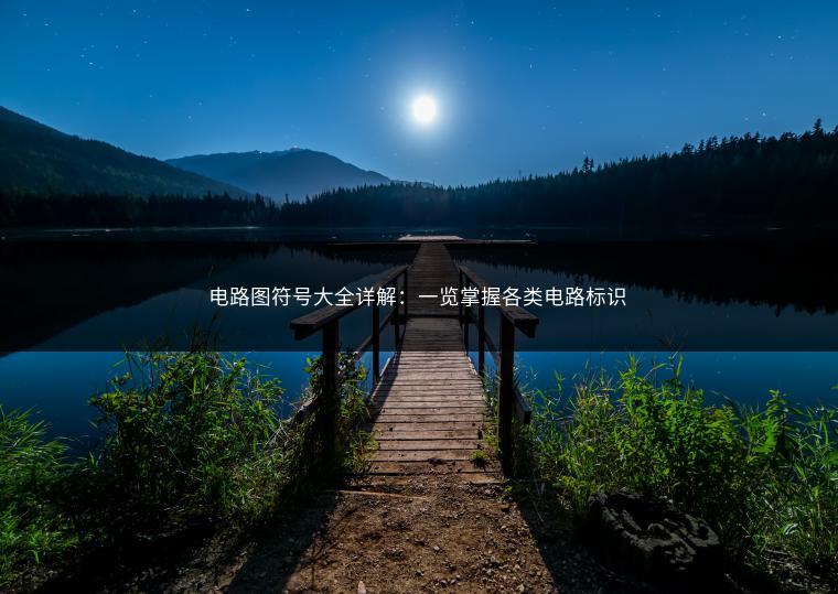 电路图符号大全详解：一览掌握各类电路标识