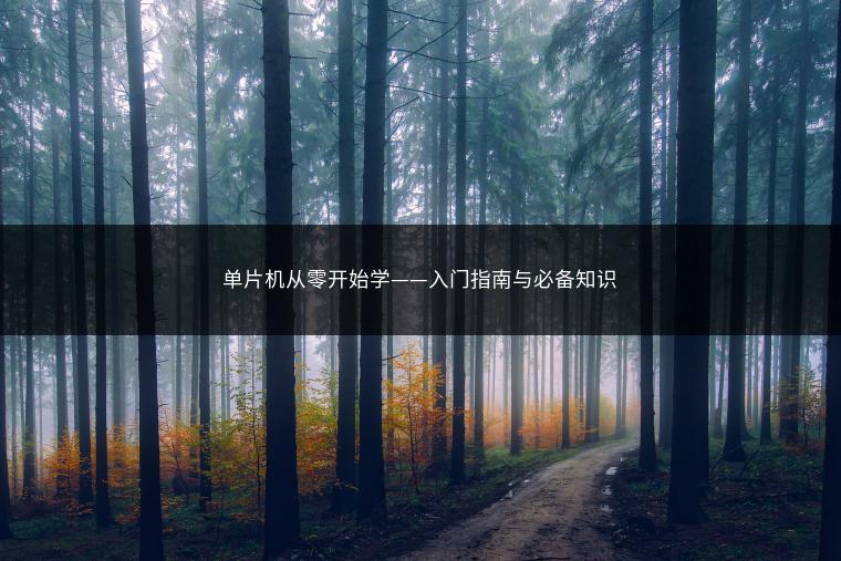 单片机从零开始学——入门指南与必备知识