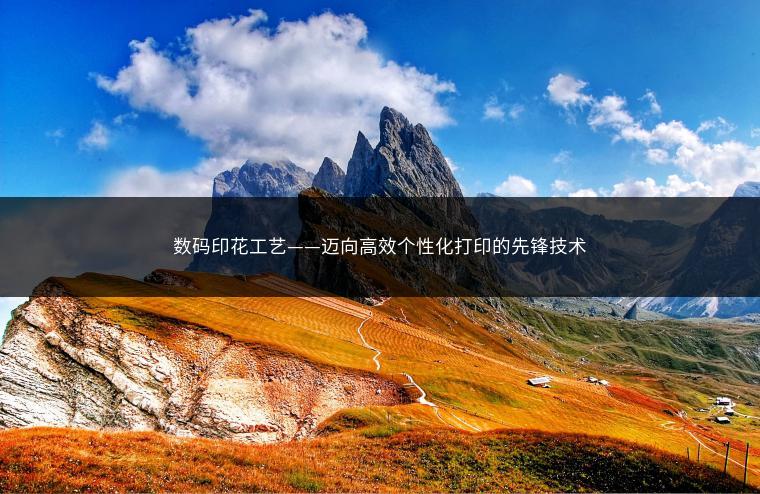 数码印花工艺——迈向高效个性化打印的先锋技术