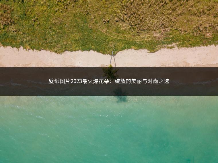 壁纸图片2023最火爆花朵：绽放的美丽与时尚之选