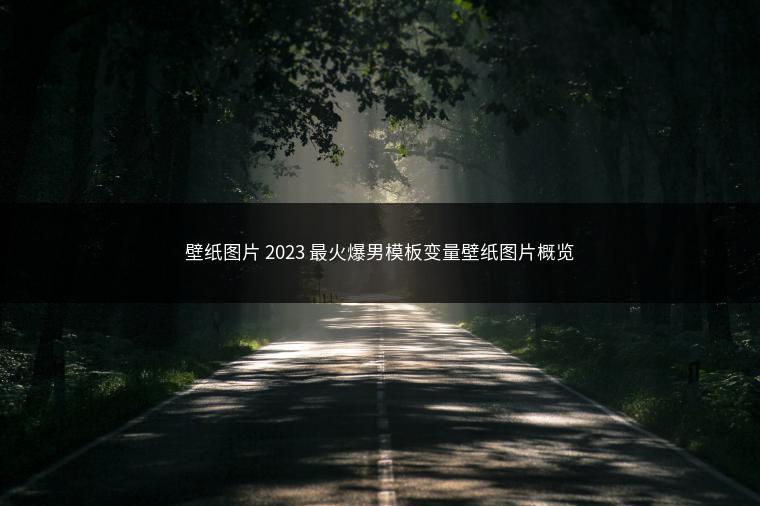壁纸图片 2023 最火爆男模板变量壁纸图片概览