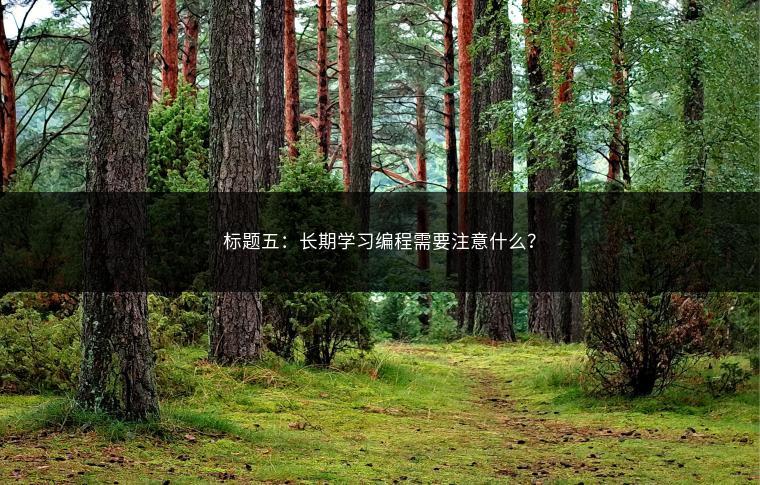 标题五：长期学习编程需要注意什么？