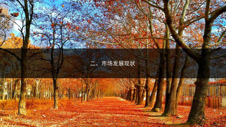 二、市场发展现状