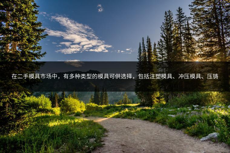 在二手模具市场中，有多种类型的模具可供选择，包括注塑模具、冲压模具、压铸模具等。这些模具具有各自的特点和应用领域。在选择购买二手模具时，需要根据实际需求进行考量。例如：注塑模具适用于塑料制品生产，冲压模具则广泛应用于金属加工行业等。此外，二手模具的质量和性能是保证生产效率和产品质量的关键因素。因此，选择信誉良好的供应商尤为重要。值得一提的是，许多优质二手模具在生产效率和寿命上表现良好，甚至比一些新模具更具竞争力。此外，随着技术的发展和检测手段的完善，二手模具的质量和性能得到了更好的保障。一些高端二手模具甚至能满足高精度、高效率的生产需求。因此，越来越多的企业开始关注并投资于二手模具市场。四、市场分析篇：二手模具市场的竞争格局与趋势预测