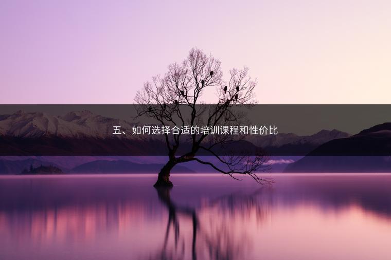 五、如何选择合适的培训课程和性价比