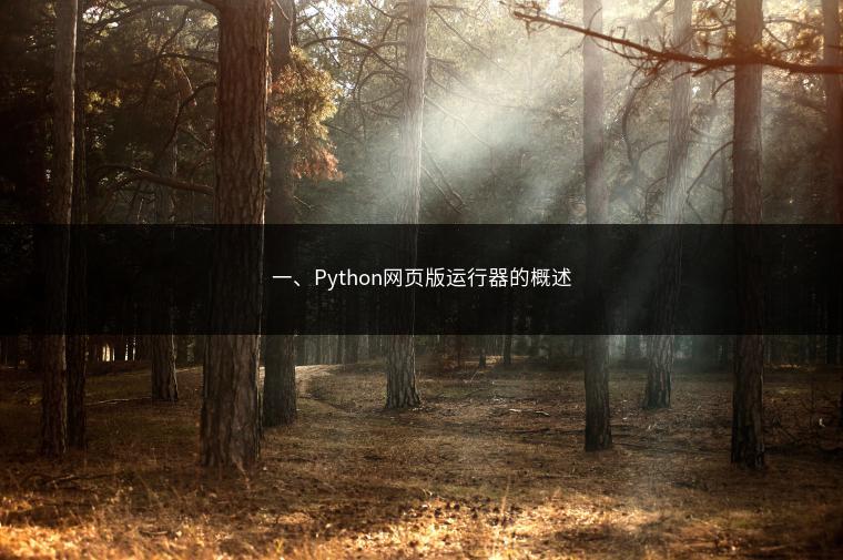 一、Python网页版运行器的概述 一、Python网页版运行器的概述