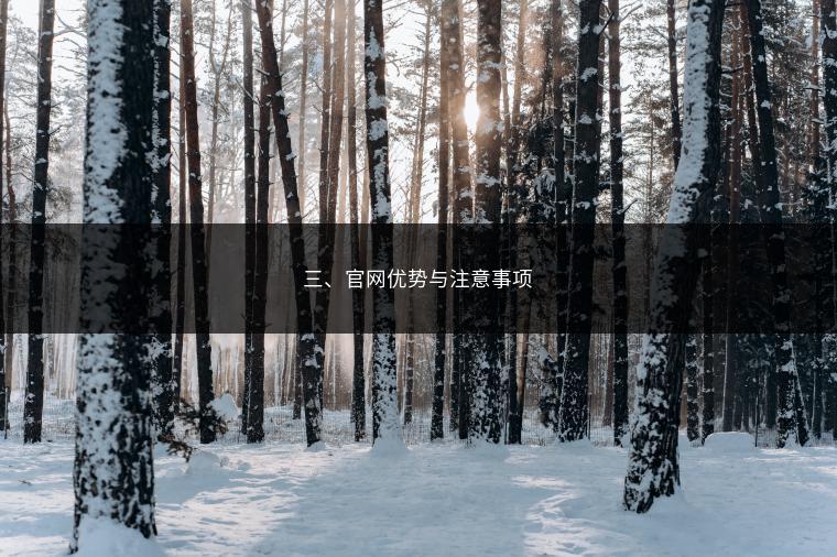 三、官网优势与注意事项