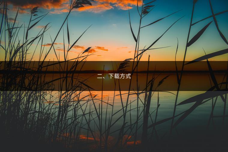 二、下载方式