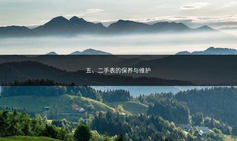五、二手表的保养与维护