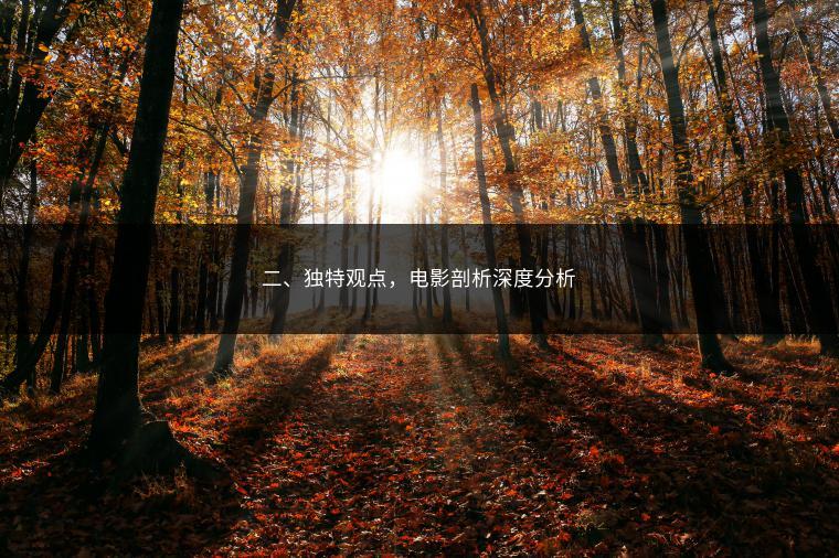 二、独特观点，电影剖析深度分析