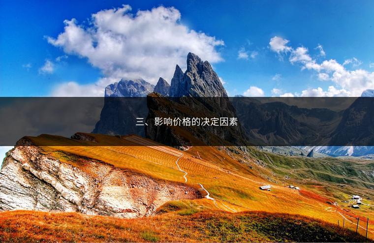 三、影响价格的决定因素
