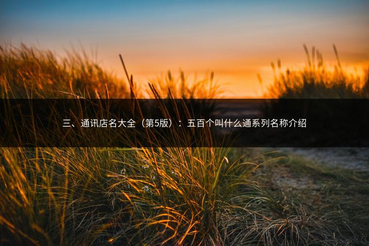 三、通讯店名大全（第5版）：五百个叫什么通系列名称介绍