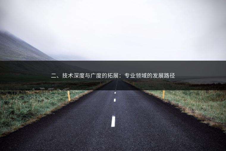 二、技术深度与广度的拓展：专业领域的发展路径