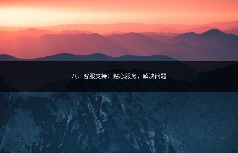 八、客服支持：贴心服务，解决问题