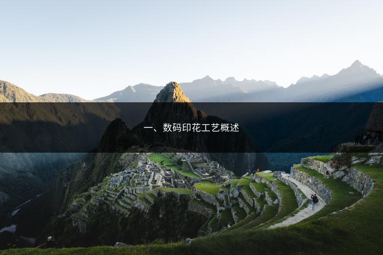 一、数码印花工艺概述
