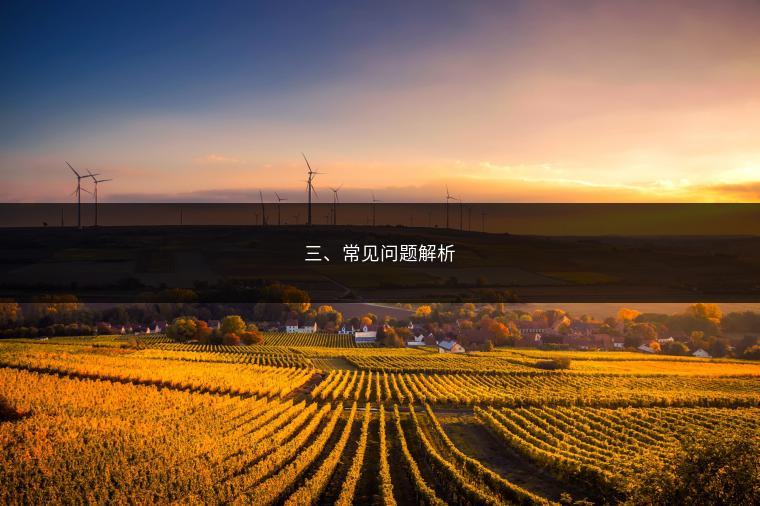 三、常见问题解析