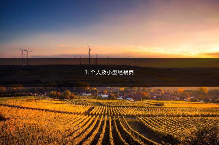 1. 个人及小型经销商