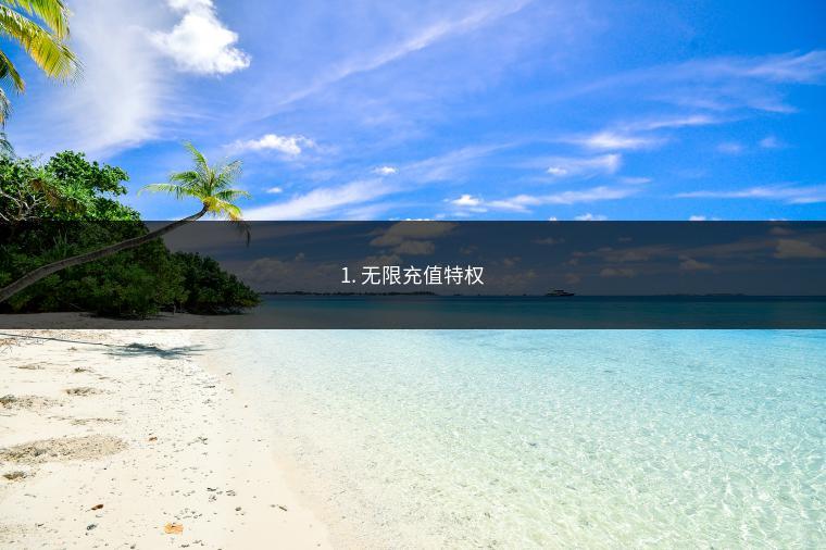 1. 无限充值特权