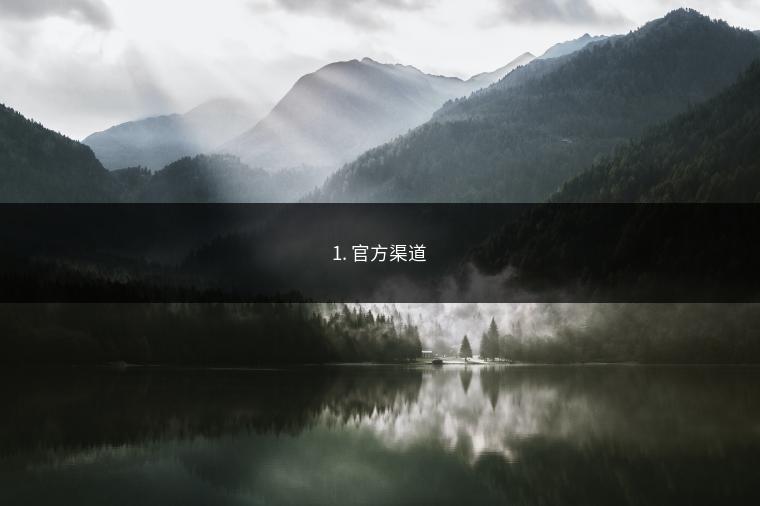 1. 官方渠道