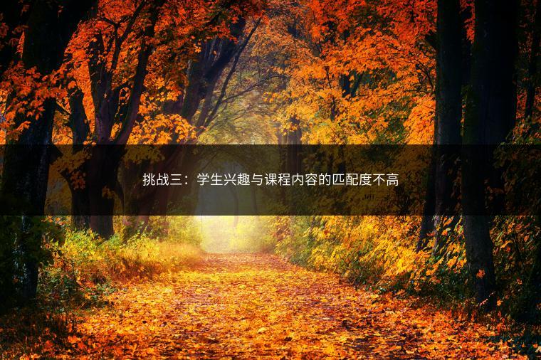 挑战三：学生兴趣与课程内容的匹配度不高