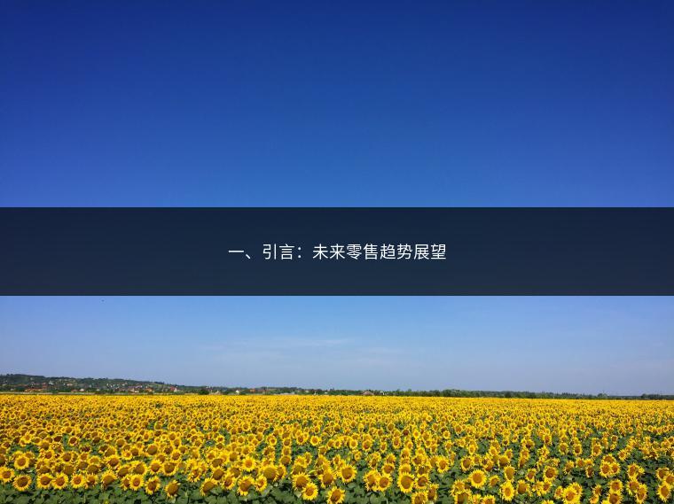 一、引言：未来零售趋势展望