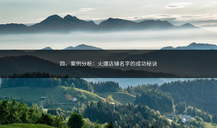 四、案例分析：火爆店铺名字的成功秘诀