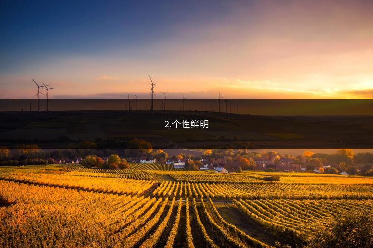 2.个性鲜明