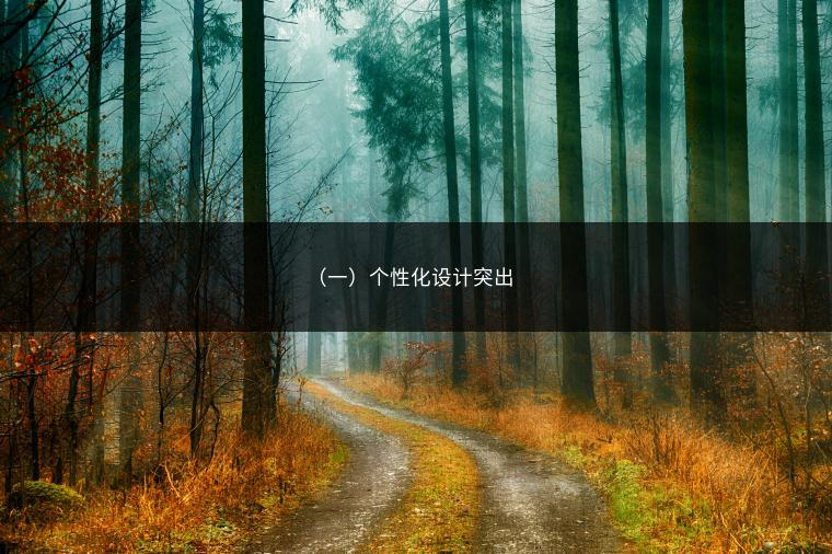 （一）个性化设计突出