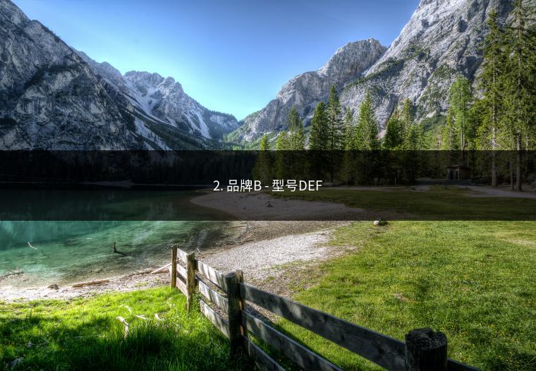 2. 品牌B - 型号DEF